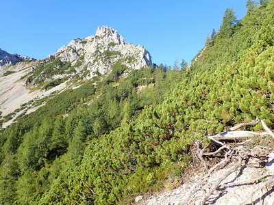 Karawankenkönig - Quer durch die Karawanken vom Bodental zum Mittagskogel