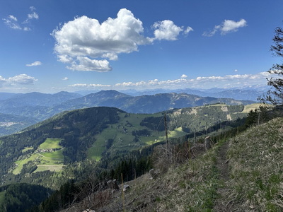 Blick Richtung Rennfeld, kurz nach dem Hochschlag
