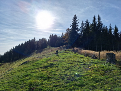 Speedhiking/Trailrunning Stanzer Trail XL