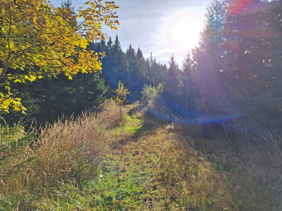 Speedhiking/Trailrunning Stanzer Trail XL