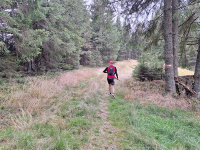 Unterwegs zwischen Sattelhaus und Gaberl, sch&ouml;ne flowige Trails