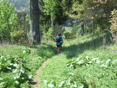 Stanzer Trailrun - Impressionen von der Strecke