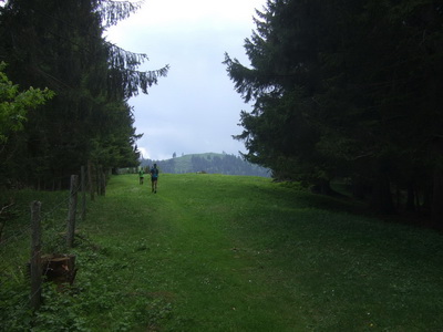 Stanzer Trailrun - Impressionen von der Strecke